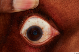 HD Eyes Eilane Prince eye eye texture eyelash iris pupil…